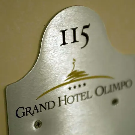 Grand Olimpo Hotel 4*