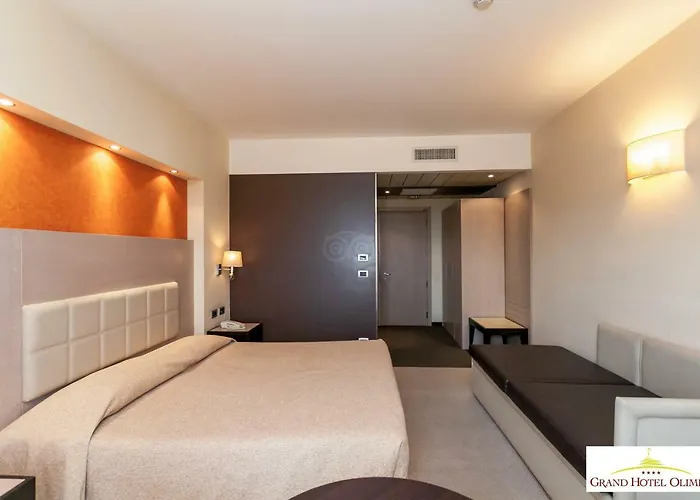 Grand Olimpo Hotel 4*